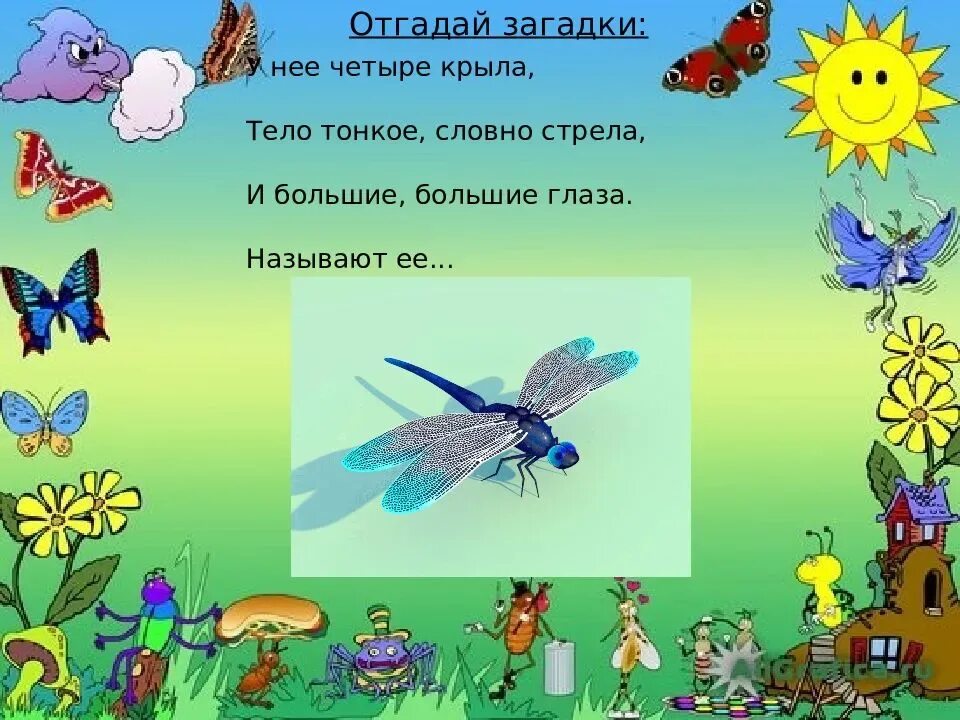 Тест отгадай загадку