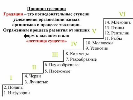 Биологические системы в порядке усложнения