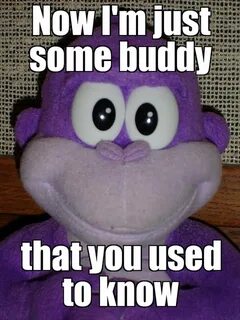 Meme buddy