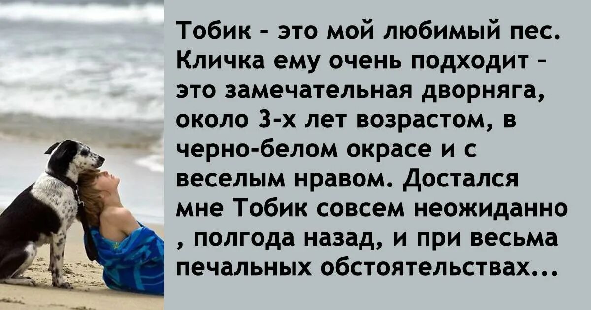 Хозяева клички. Кличка Тобик. Мой любимый пес. Имя собаки Тобик. Любишь меня люби и мою собаку.