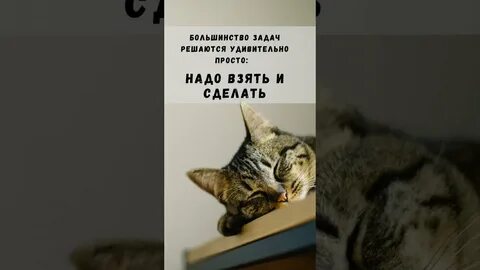 Большинство задание 2