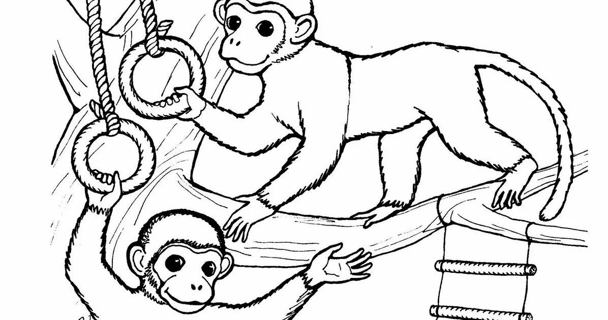 Житков про обезьянку. Иллюстрация к рассказу про обезьянку. Про обезьянку житков пл. Житков про обезьянку рабочий лист. Рассказ про обезьянку житков.