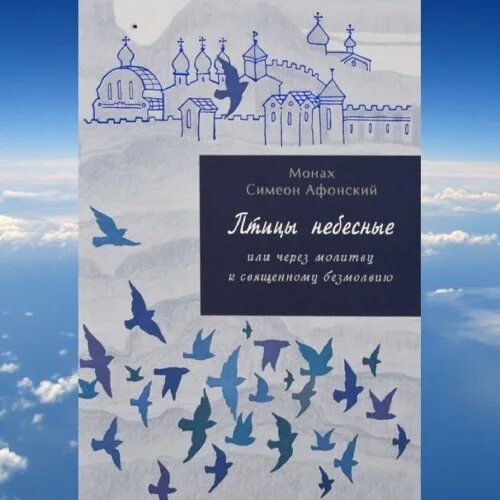 Птицы небесные Симеон Афонский. Симеон Афонский - книге  птицы небесные. Книга птицы небесные монах Симеон купить. Птицы небесные книга.