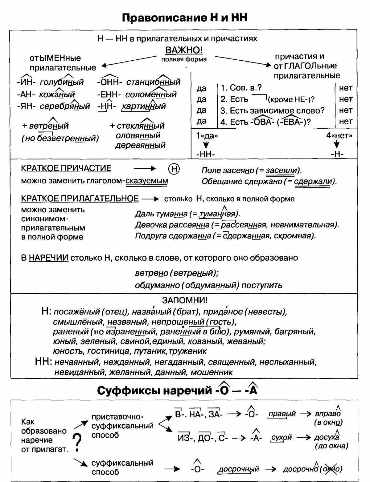 Правописание н в разных частях речи. Схема правописание прилагательных. Правописание н и НН В разных частях в прилагательных. Правописание НН В суффиксах разных частей речи. Правописание н и НН В разных частях речи в прилагательных.