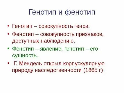 Случайное изменение генотипа это