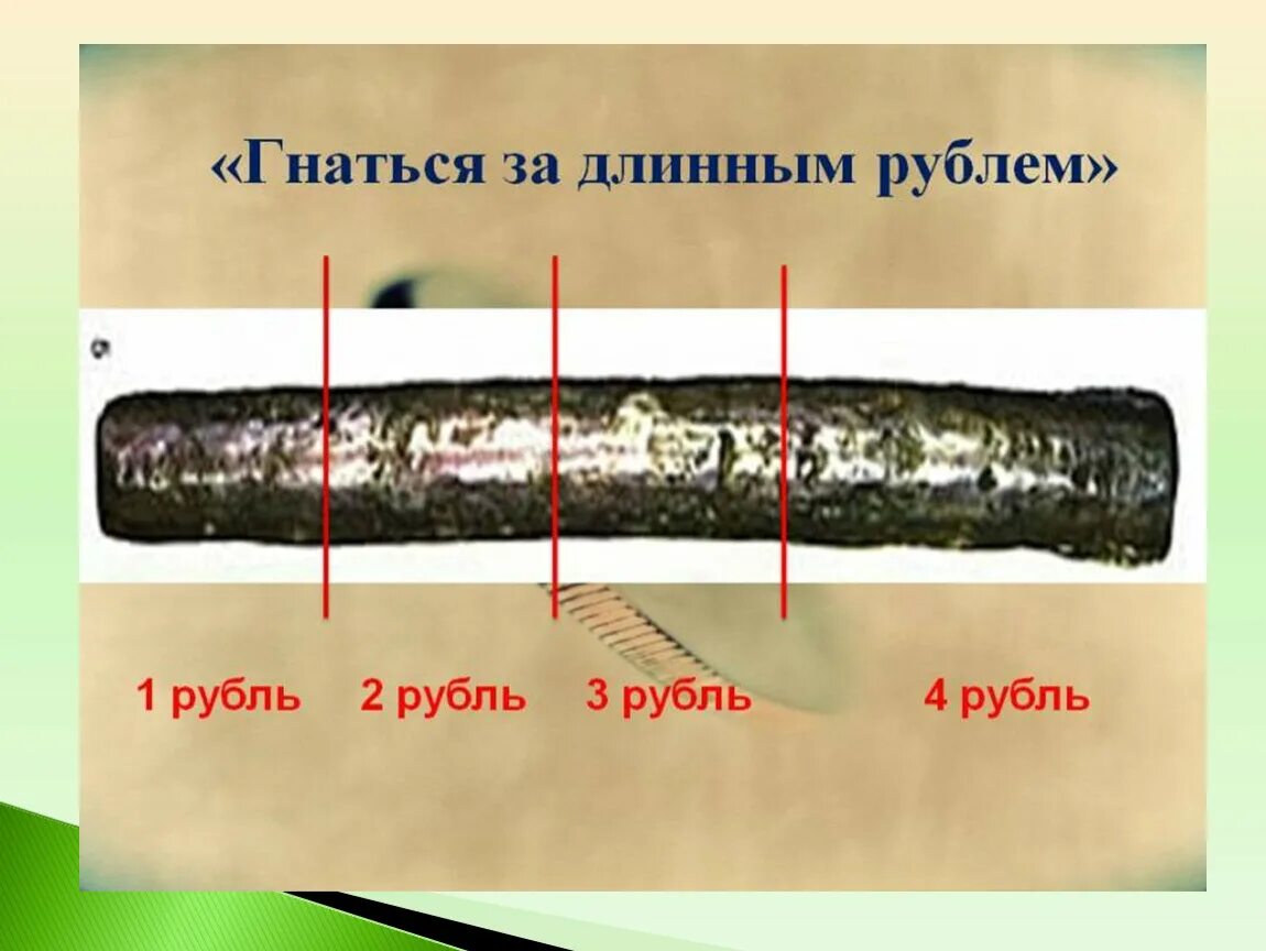 Что значит гонится. Гнаться за длинным рублем. Гривна на Руси. Первый рубль на Руси. Рубль от слова рубить.