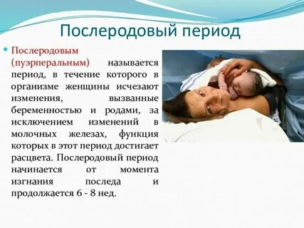 Сколько длится период беременности