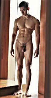 Soft Big Cock Nude 垂 れ 下 が っ た ズ ル 剝 け 508.