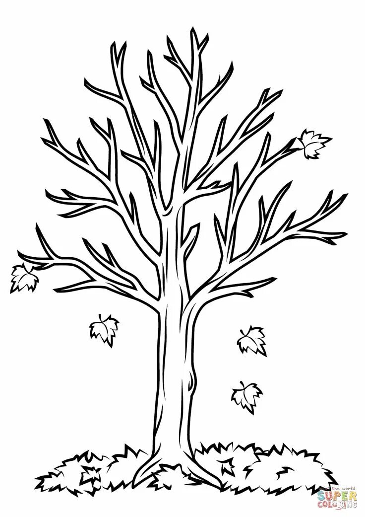 Дерево шаблон распечатать формат а4 Трафарет дерева Tree outline, Tree coloring page, Tree sketches
