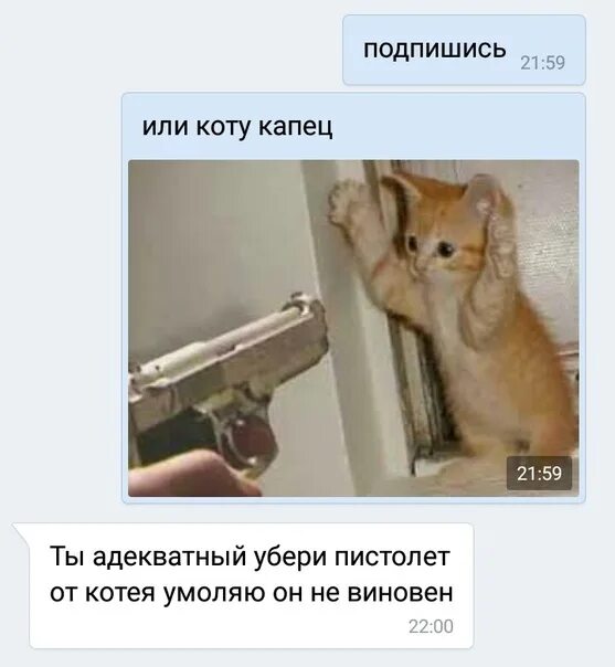 Это что за блин вообще капец. Картинка тебе капец. кот капец. капец мем кот. капец блин мем кот.