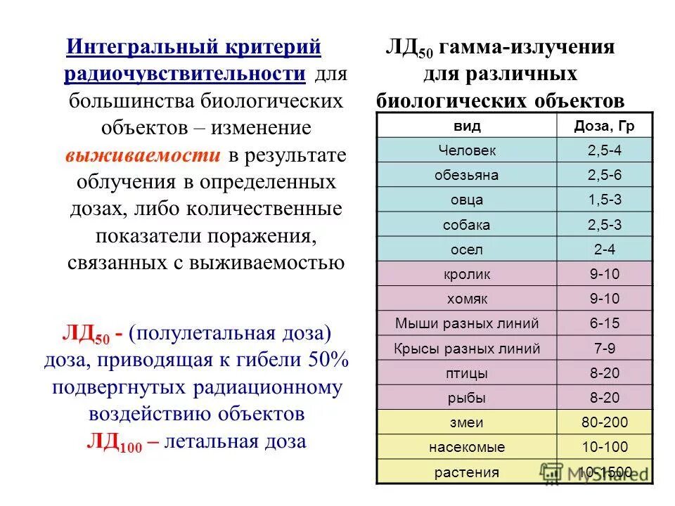 Что значит ld. Что значит ld