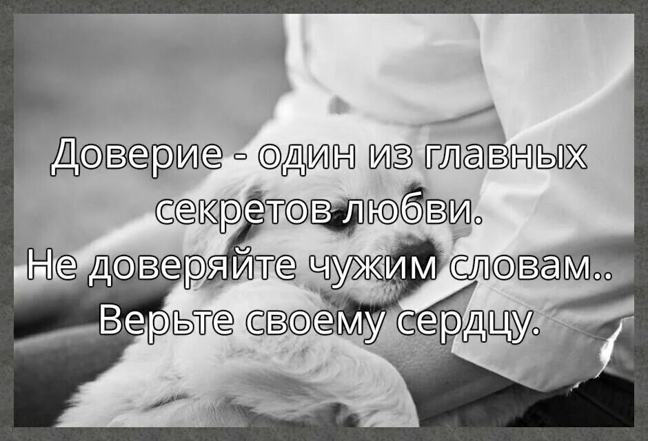 Главное доверие. Доверие один из главных секретов любви. Верьте своему сердцу. Слова доверия сердцу. Доверие перевод