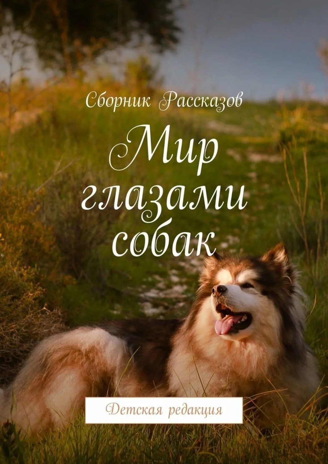 Наш мир глазами собаки. Бездомный пес. Стих про животных про собаку. Стих про собаку. Собаки в литературе.