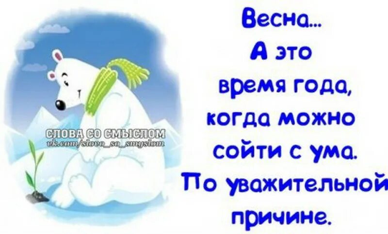 Слова со смыслом. Высказывания о весне. Смешные высказывания про весну. Слова со слова насморк