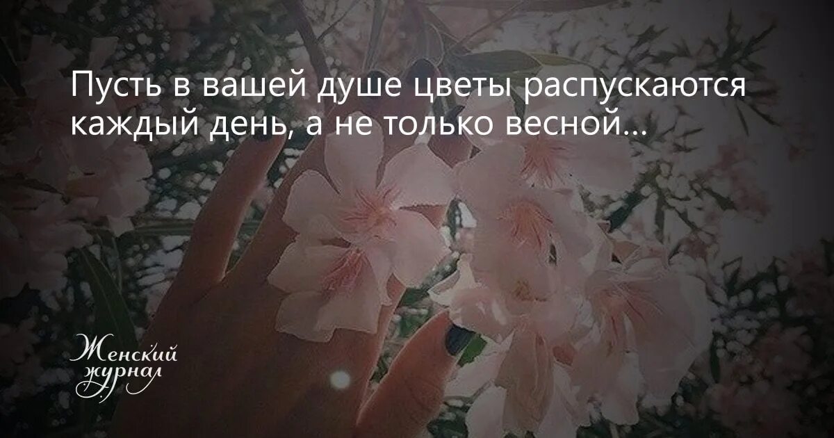 Текст песни пусть распускаются цветы в саду. Цветы в душе цитаты. Высказывания о цветах. Пусть в душах ваших распускаются цветы. Цветы распускаются в душе.