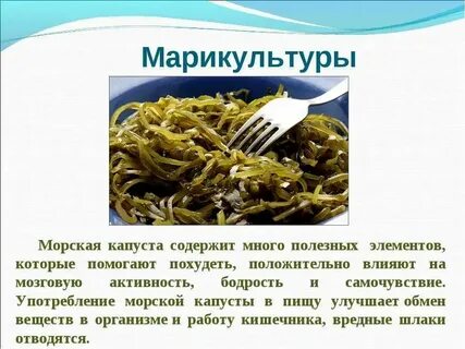 Сколько железа в морской капусте