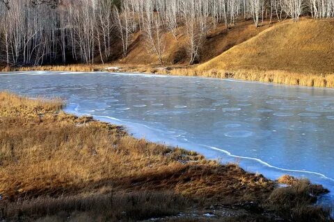 Река каменка санкт петербург
