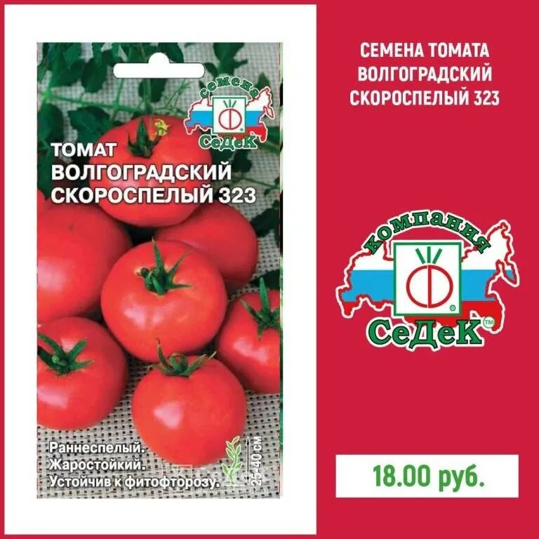 Томат Волгоградский скороспелый 323. Семена томат "Волгоградский скороспелый 323" низкорослый. Томат сорт Волгоградский скороспелый. Томат ленинградский скороспелый