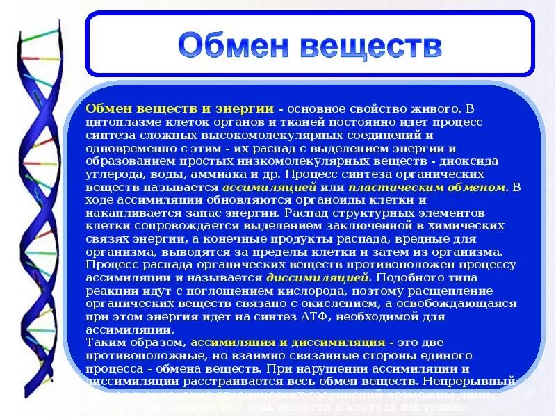 Продукты распада воды. Обмен веществ вывод. Вывод на тему обменные процессы в организме. Обменные процессы в организме сообщение. Вывод обмен веществ и энергии.