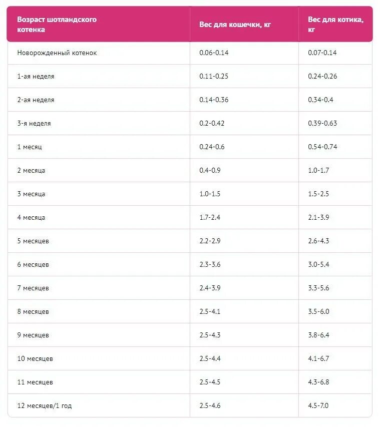 Вес котенка по месяцам таблица. Вес шотландского котенка по месяцам. Вес котенка в месяц. Таблица веса котят.