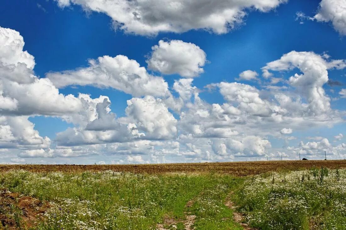 Cloud в россии. Южноуральская степь Кучевые облака. Облака. Поле облака. Летние Кучевые облака.