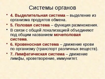 Какую функцию выполняют дне
