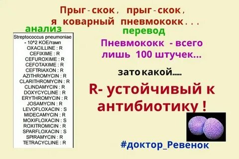 Скоков текст