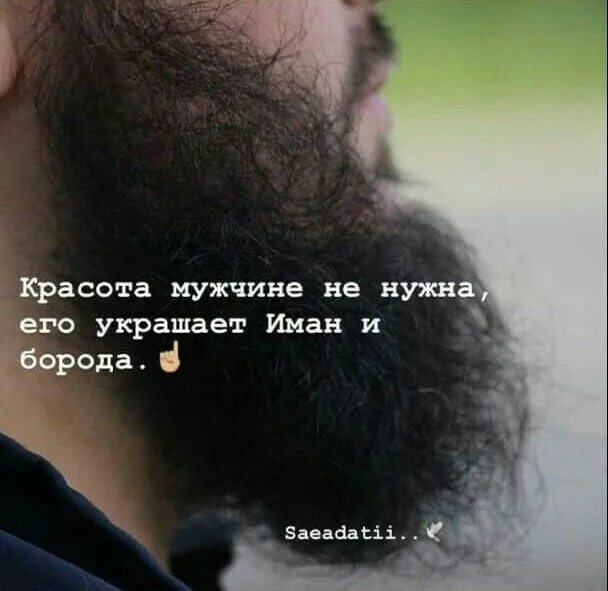 Что украшает мужчину. Цитаты про бороду. Цитаты про парней с бородой. Цитаты про бородатых мужчин. Цитаты про бороду исламские.