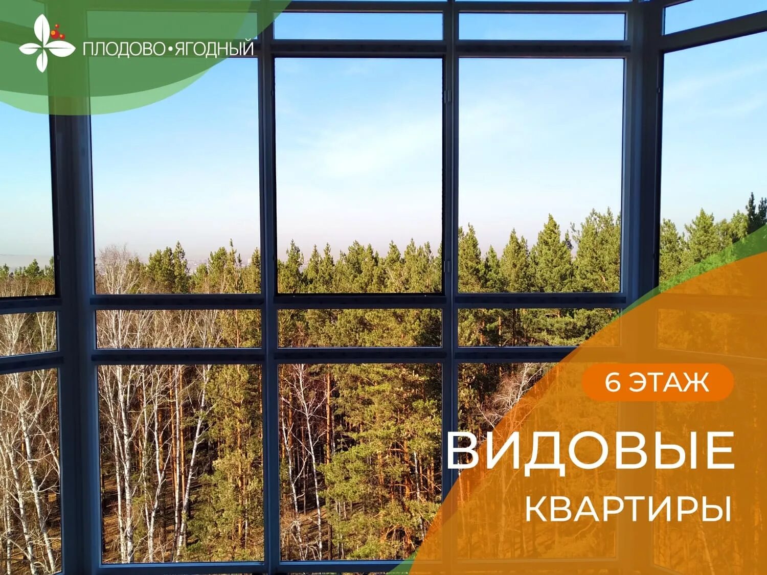 Плодово ягодная квартиры. Гранат карликовый. Плодово ягодный жк. Жилой комплекс ягодное. Жк плодово-ягодный красноярск.