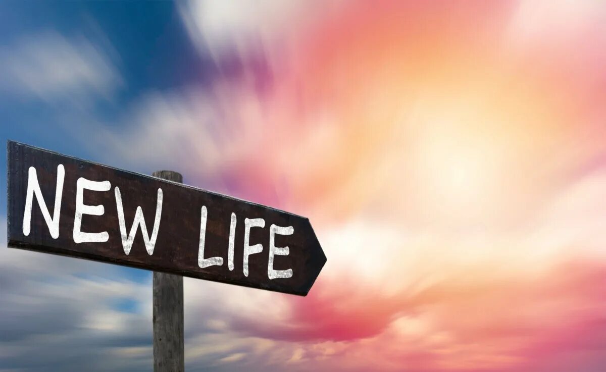 New life картинки. Рисунок new life club. New life картинки. New life download. New life картинки.