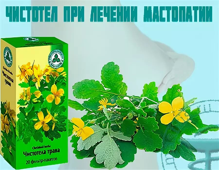 Мастопатия односторонняя. Сбор трав мастопатия. Мастопатия молочной железы лекарства. Медикаментозная терапия мастопатии. Сбор трав мастопатия.