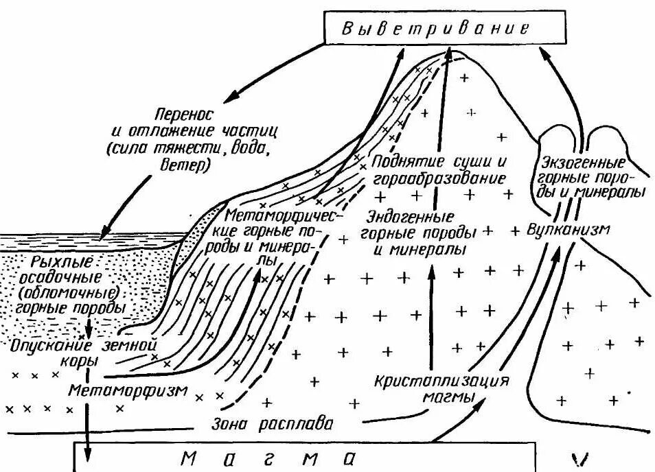 Стадии формирования осадочных горных пород. Схема образования магматических горных пород. Схема образования осадочных горных пород. Метаморфические горные породы схема образования.