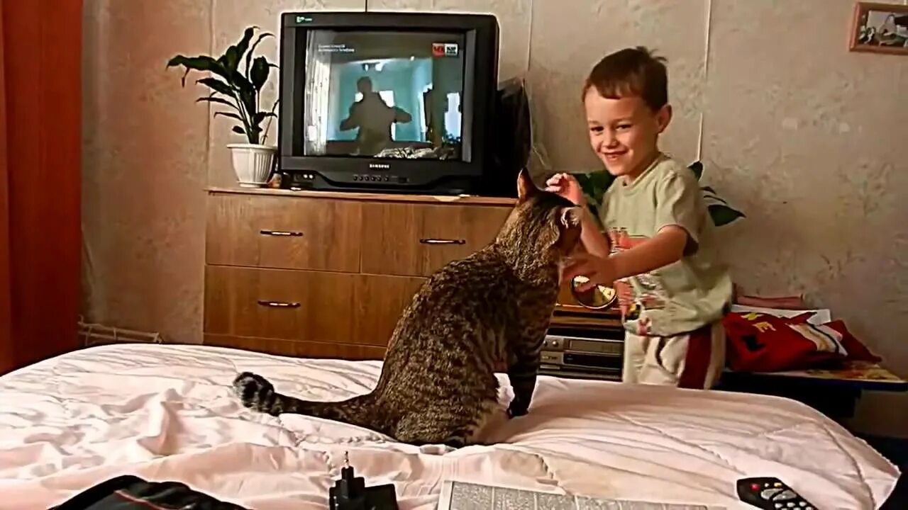 Кэт сын. Поступать кот. Кошка с сыном. Котенок нападает.
