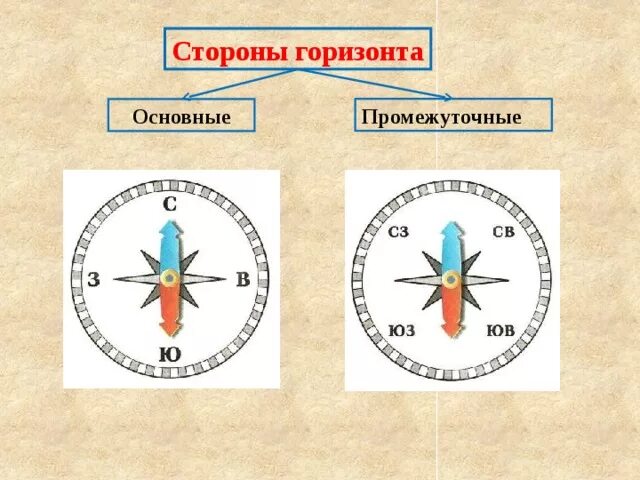 Основные стороны горизонта. Промежуточные стороны горизонта. Основные и промежуточные стороны горизонта. Модель " стороны гаризонта.