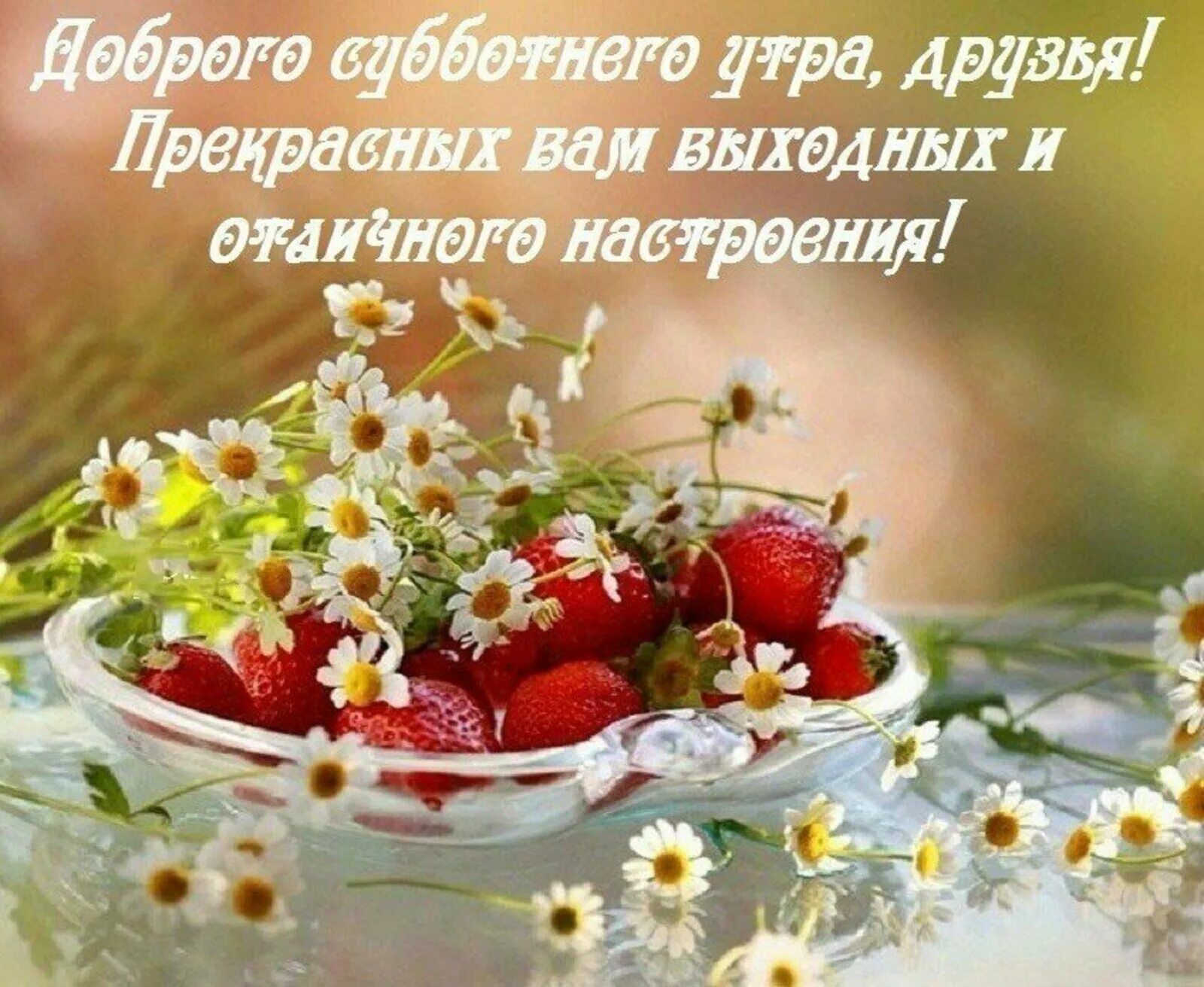 Нежное пожелание хорошего дня. Доброе субботнее утро. С добрым субботник утрлм. С дтбрым сабботнем атром. Сдобрыи суььотним утром.