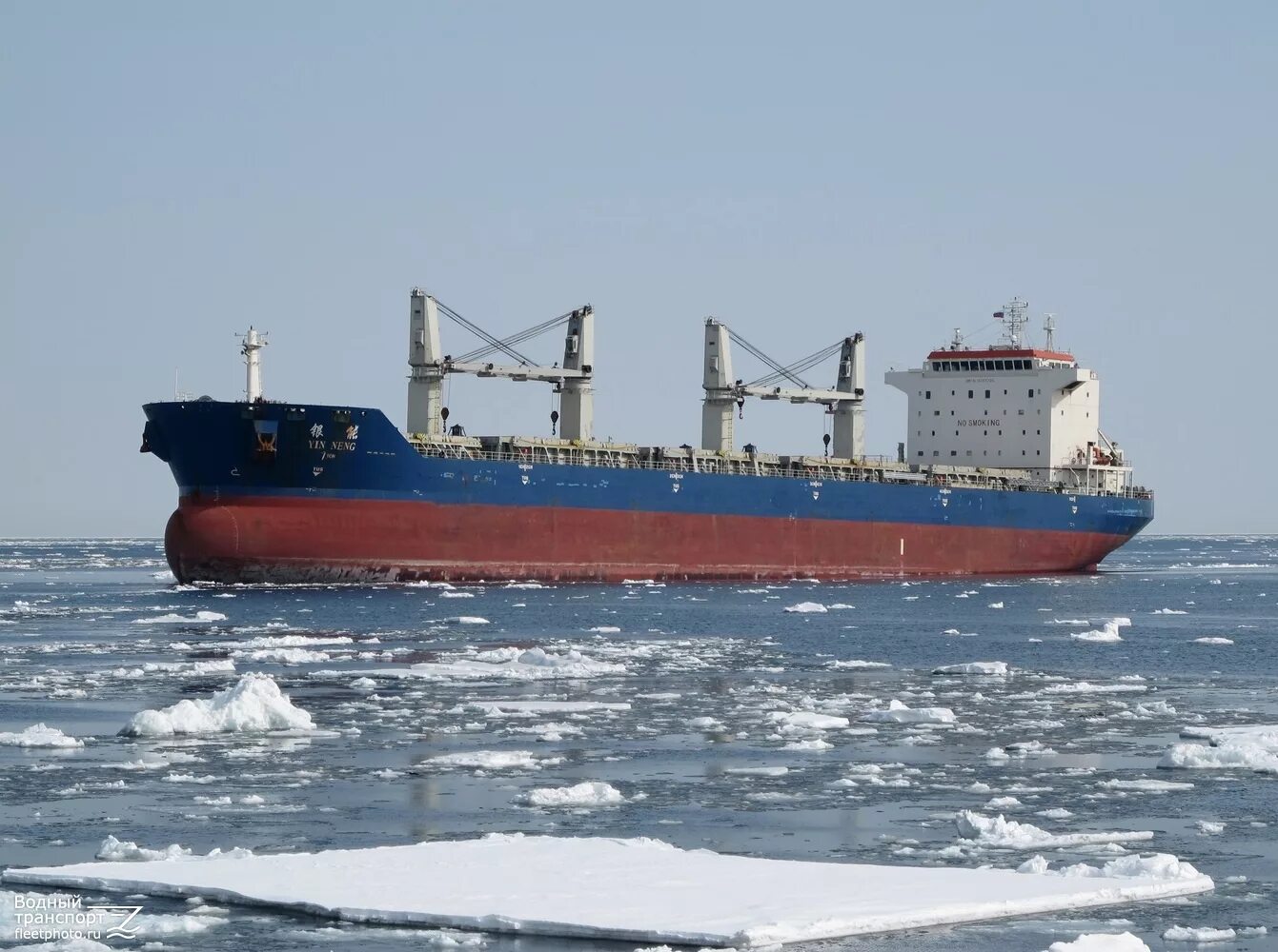 Трафик судно. Балкер матрос кошка. Балкер матрос позынич. Балкер из индии. Матрос кошка судно балкер.