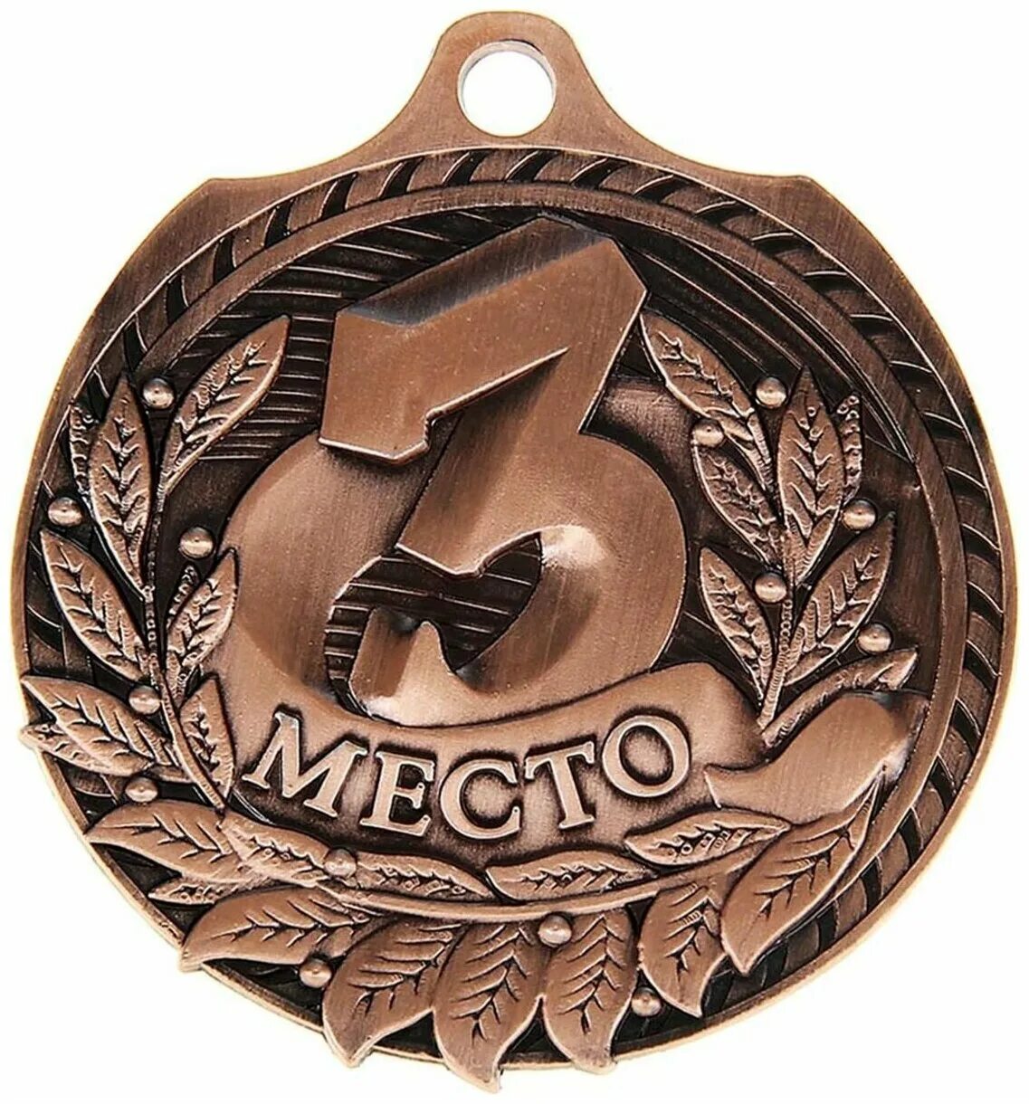 бронзовая медаль. семейная спартакиада png. медаль 2 и 3 место.