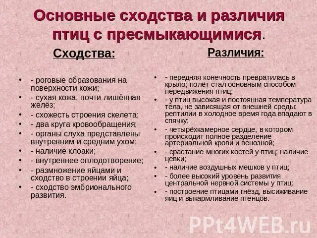 Отличие дыхательной системы птиц от пресмыкающихся