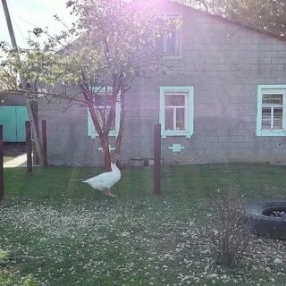 Погода в горном саратовская область рп5