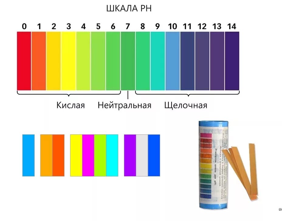 Лакмусовая шкала PH. Кислотность лакмусовая бумага. Лакмусовая бумага индикатор кислотности. Лакмусовая бумага шкала кислотности.