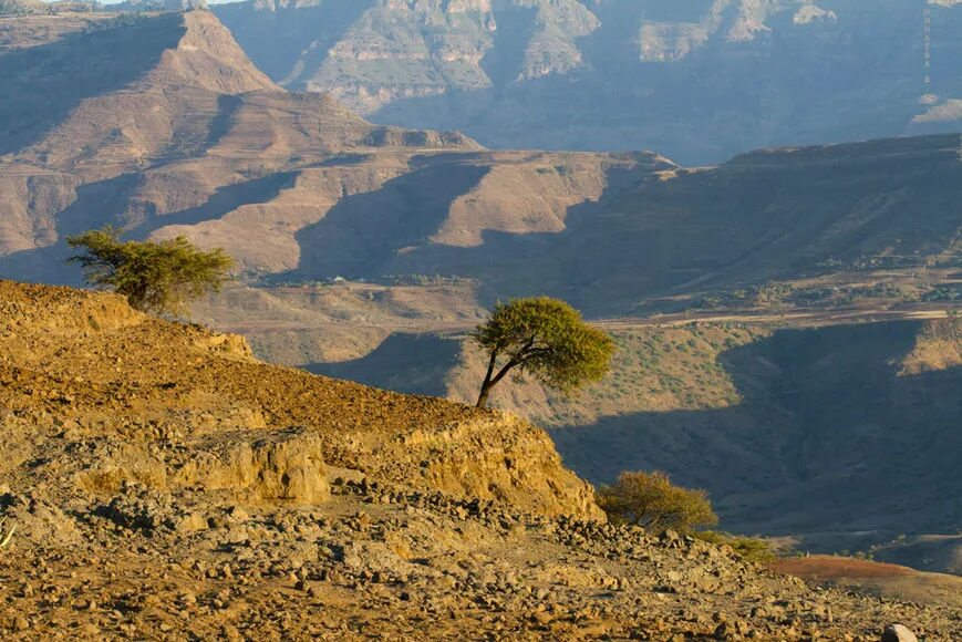 эфиопия рельеф и полезные ископаемые. рельеф эфиопского нагорья. эфиопия рельеф и полезные ископаемые. эфиопское нагорье в африке. энтото гора в эфиопии.