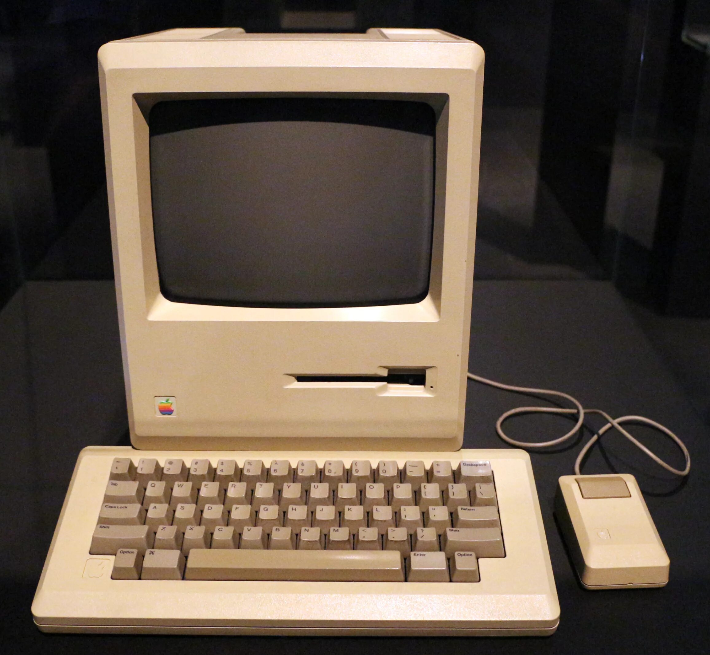 The first computer appeared