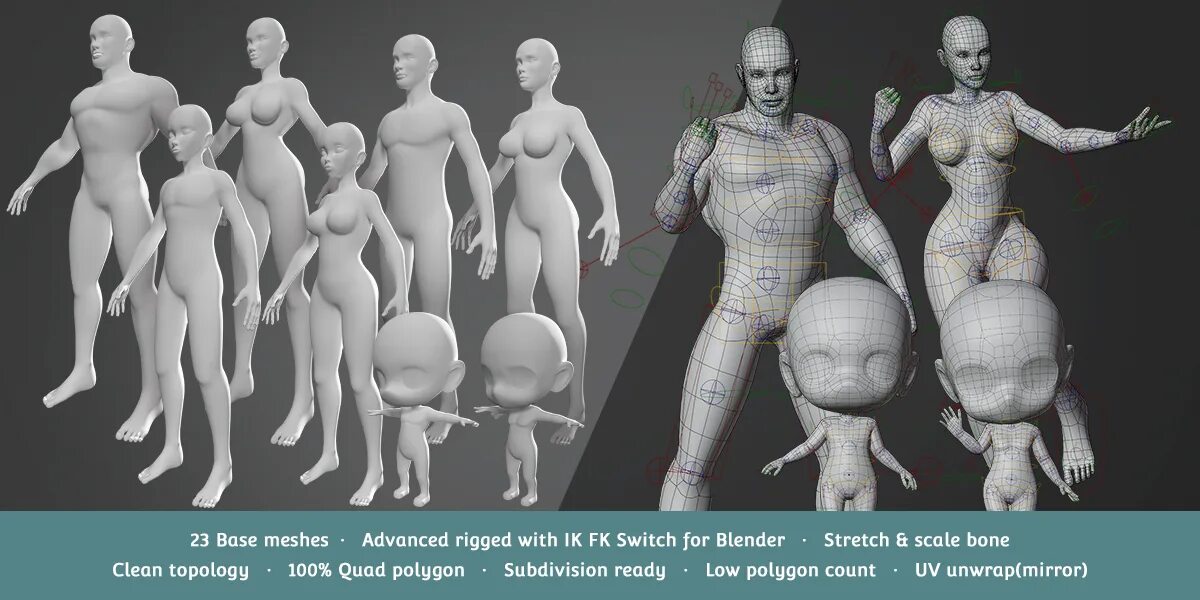 Human mesh blender. Риг 3д модели. base mesh. max в fbx.