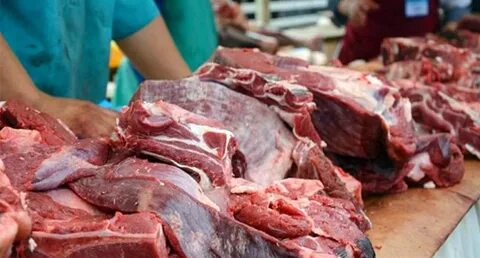 Әйелдердің бұталар арасында трахния алған фотосы