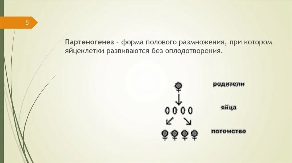 Почему при половом размножении потомства. Форма полового размножения при котором. Формы полового размножения без оплодотворения. Формы партеногенеза. Оплодотворение партеногенез.