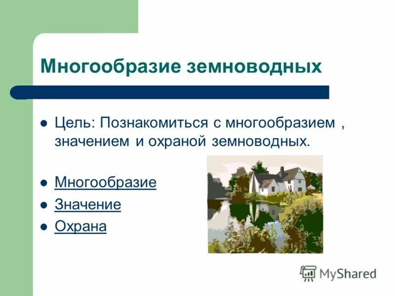 Плод разнообразие и значение плодов. Многообразие и значение грибов. Биологическое разнообразие. Водоросли и их многообразие в природе 6 класс. Значение разнообразия.