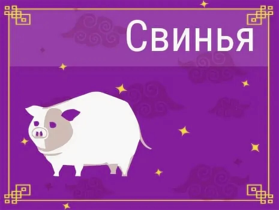 Совместимость свиньи женщины мужчины крыса. Совместимость свиньи. собака и свинья совместимость. свинья кто подходит.