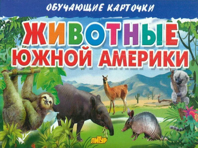 Кто живет в южной америке животные. Карточки животные Южной Америки. Южные животные. Животные Южной Америки список. Список животных Южной Америки.