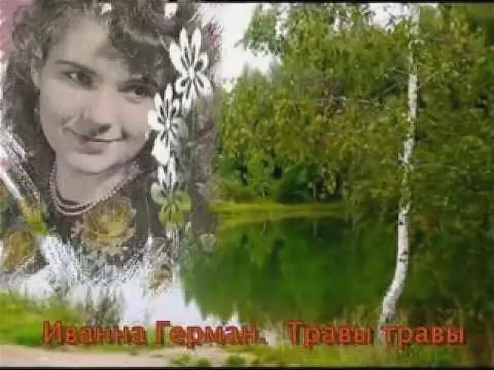 Песня ютуб травы травы. Подорожник трава легкоступова. Мем много травы. Реклама травы на ютубе. Лесные травы средней полосы.