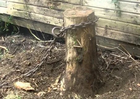 Как быстро выкорчевать пень